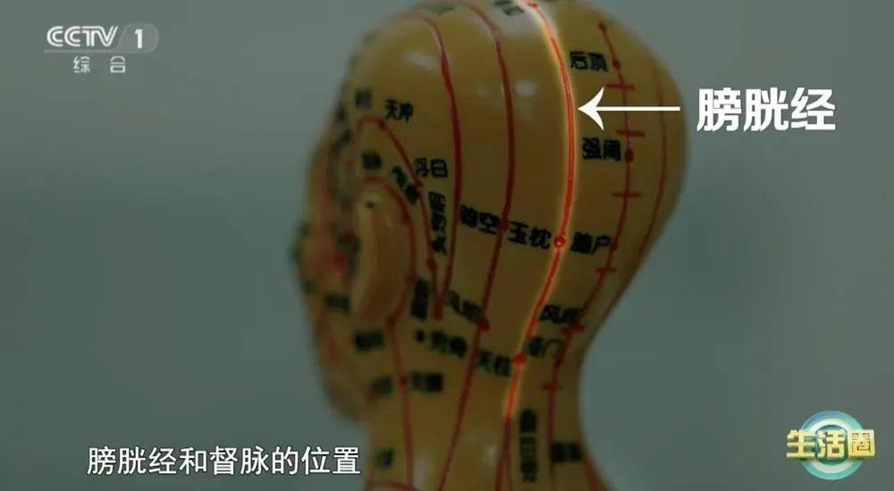 健康问题 护发与健康小贴士快收藏不朽情缘首页不同位置白发反映不同(图4)